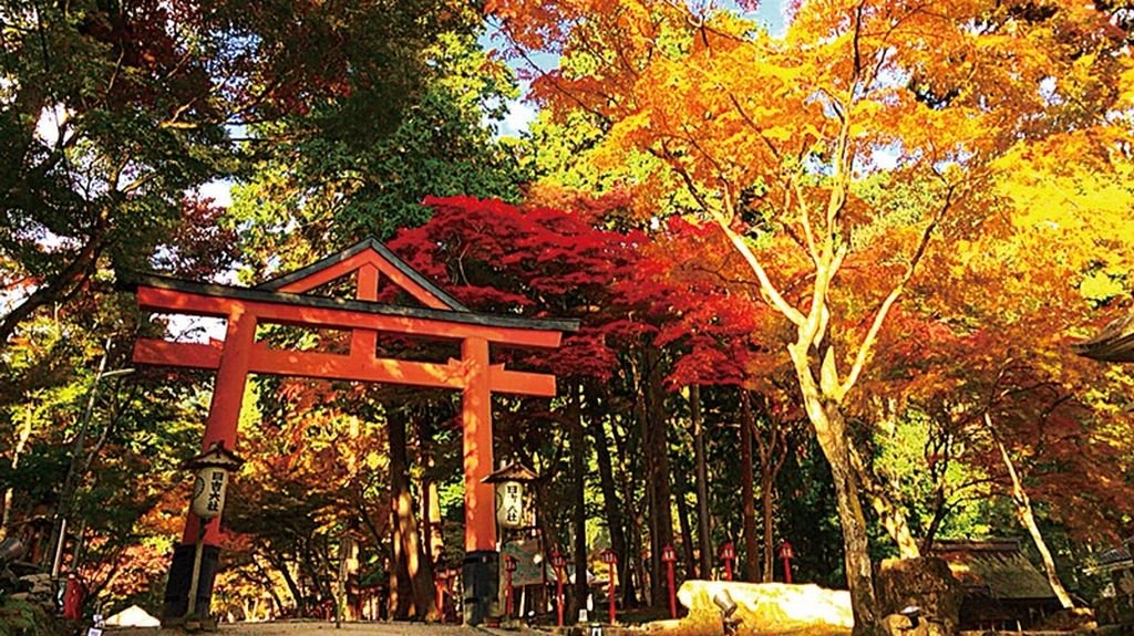 ⛩️ 히요시 대사(日吉大社) 이미지 6